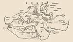 Карта мира по Геродоту